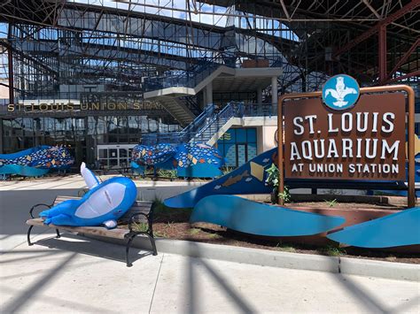 stl aquarium|st louis aquarium ticket prices.